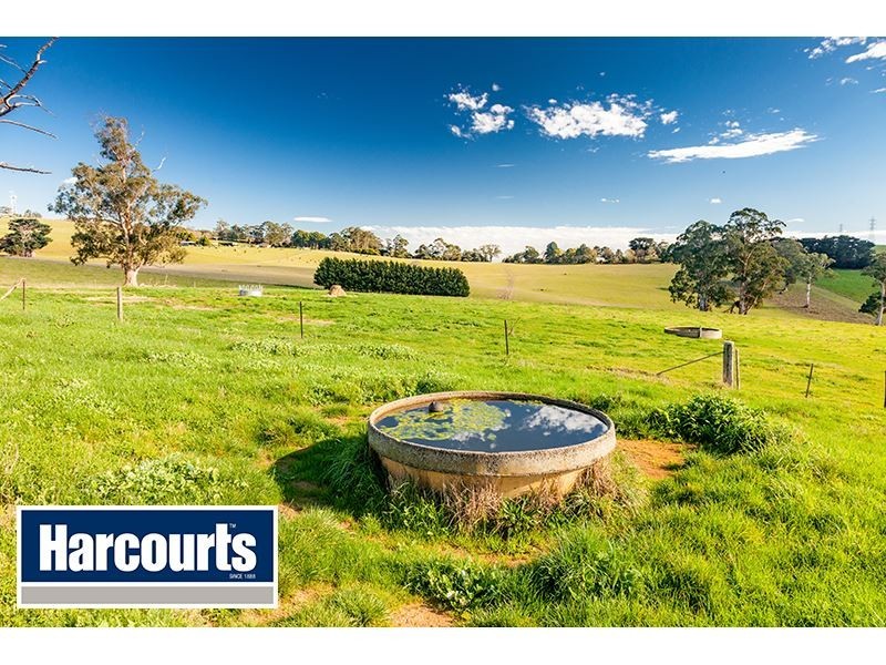 206 Cazalys Road, Brandy Creek VIC 3821