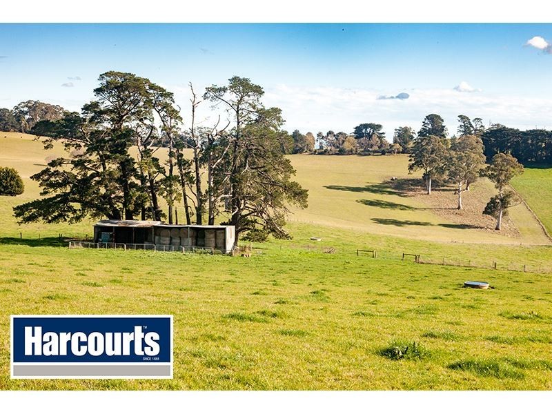 206 Cazalys Road, Brandy Creek VIC 3821