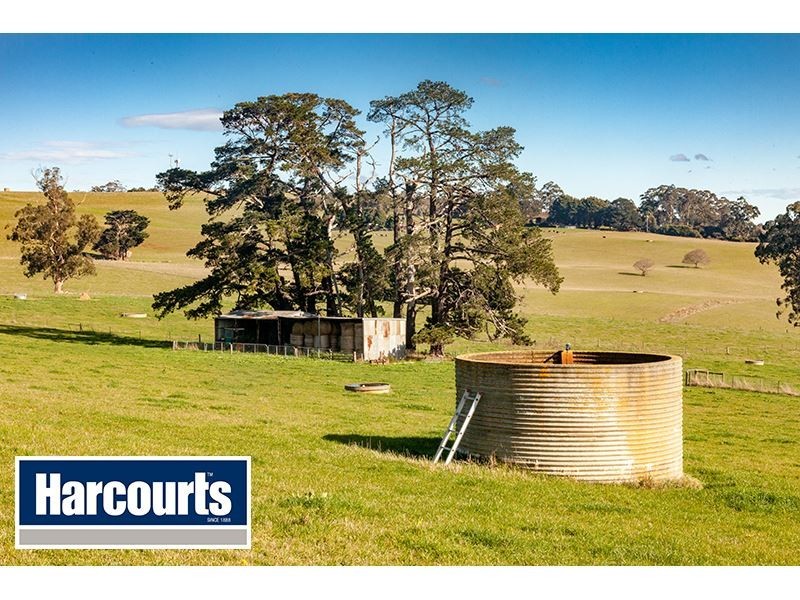 206 Cazalys Road, Brandy Creek VIC 3821