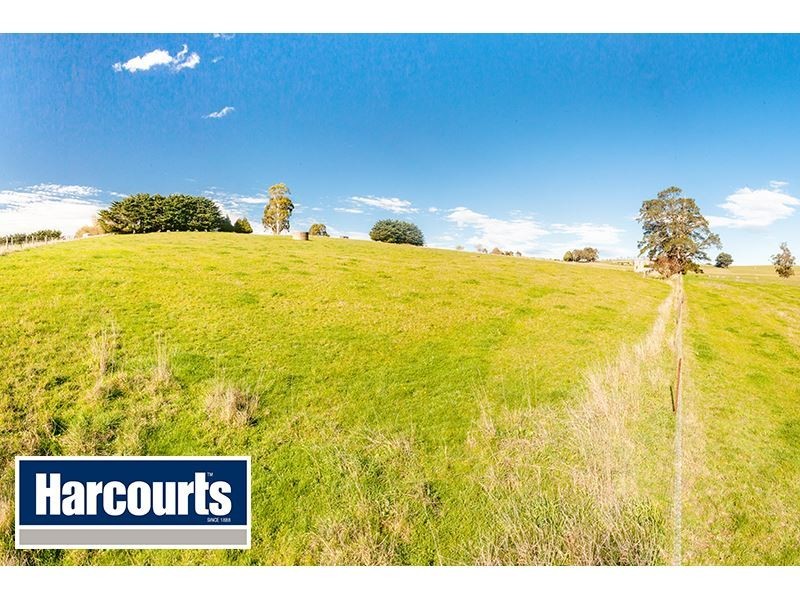 206 Cazalys Road, Brandy Creek VIC 3821