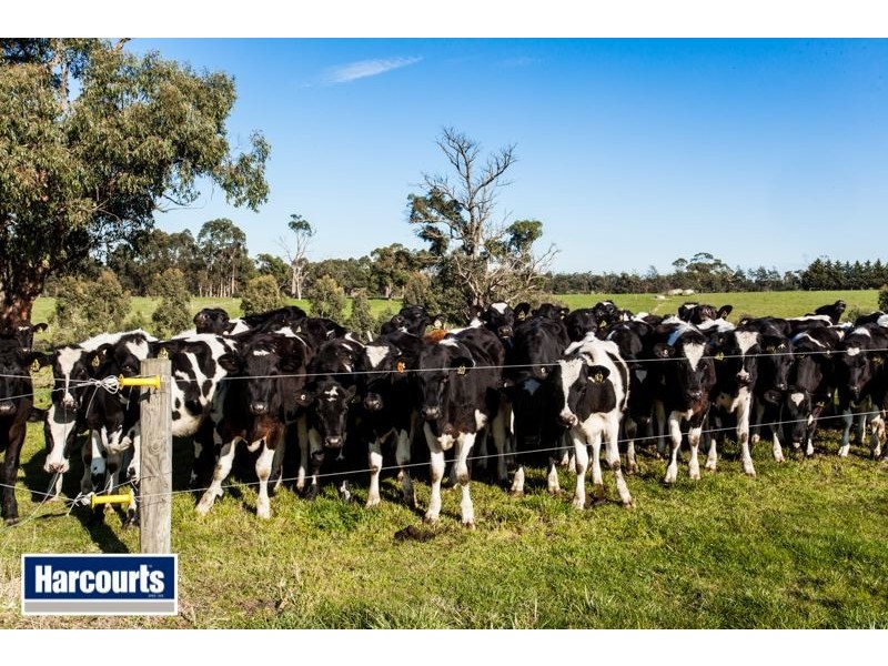 Lot 2 Embletons Road, Trafalgar VIC 3824