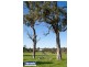 Lot 2 Embletons Road, Trafalgar VIC 3824