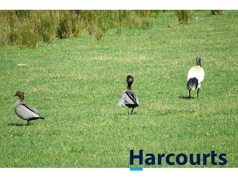 710 McDonalds Track, Thorpdale VIC 3835