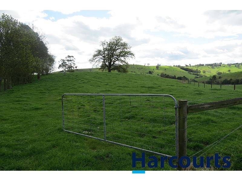 211 Mountain View Road, Mountain View VIC 3988