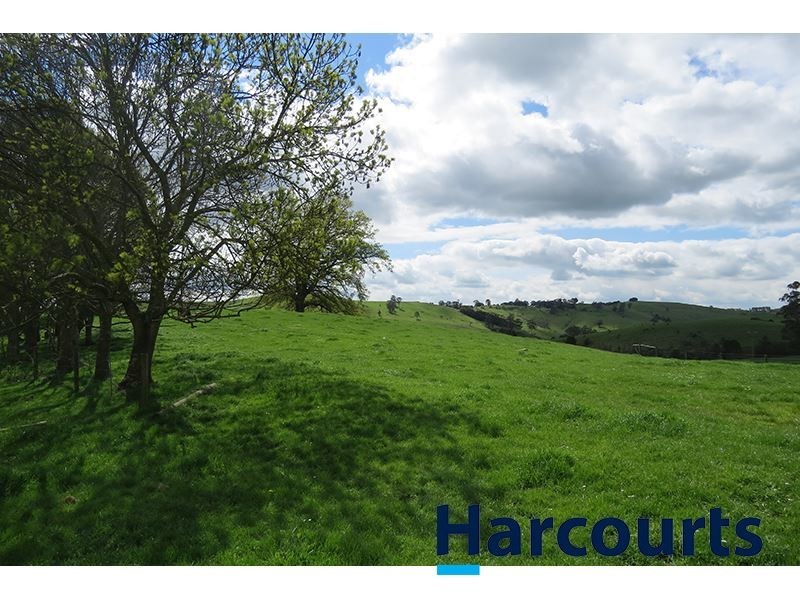 211 Mountain View Road, Mountain View VIC 3988