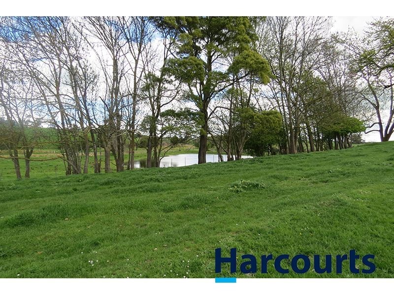 211 Mountain View Road, Mountain View VIC 3988