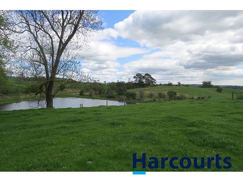 211 Mountain View Road, Mountain View VIC 3988