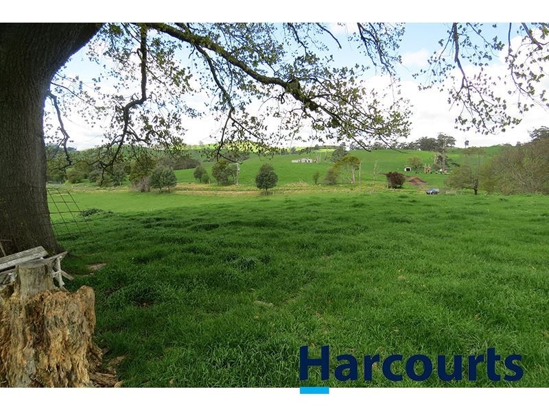 211 Mountain View Road, Mountain View VIC 3988