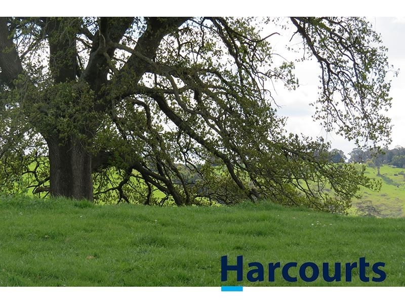 211 Mountain View Road, Mountain View VIC 3988