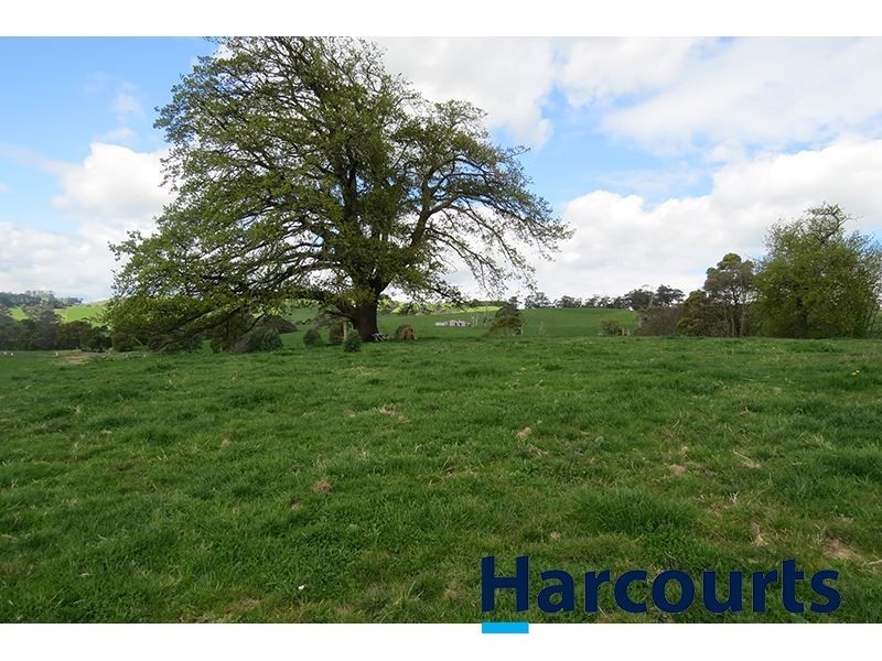 211 Mountain View Road, Mountain View VIC 3988