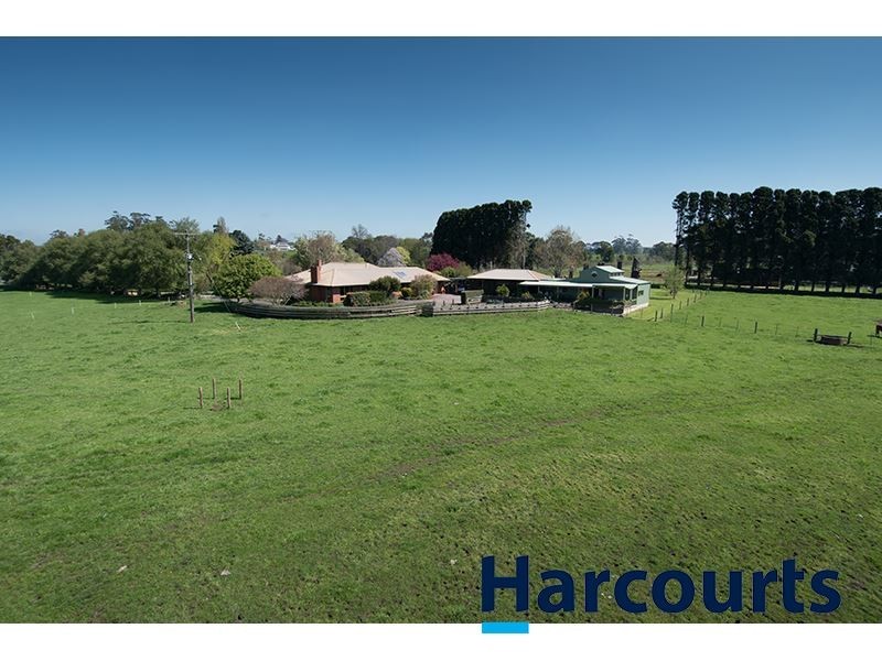 243 Lillico Road, Lillico VIC 3820