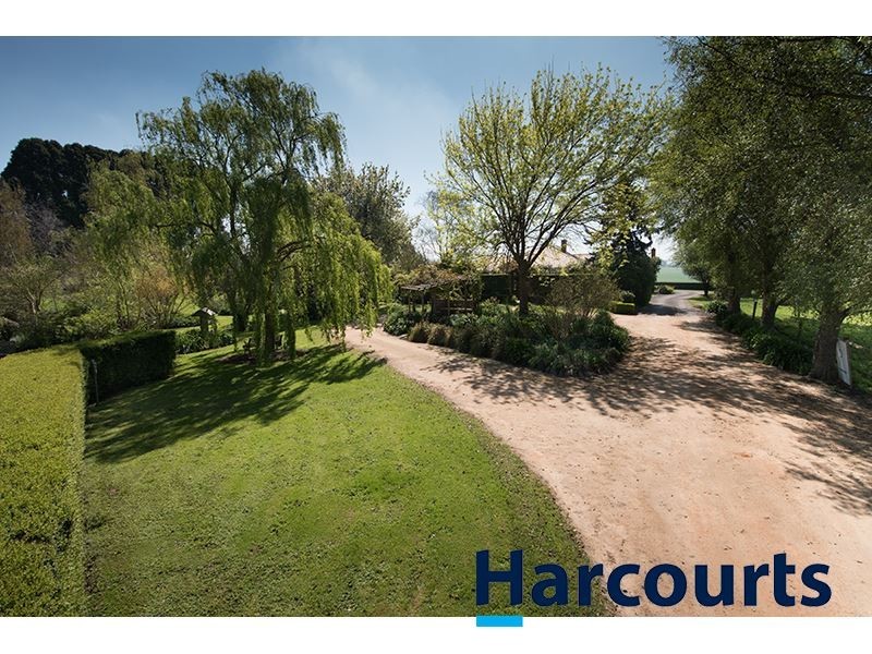 243 Lillico Road, Lillico VIC 3820