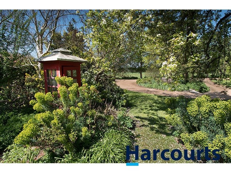 243 Lillico Road, Lillico VIC 3820