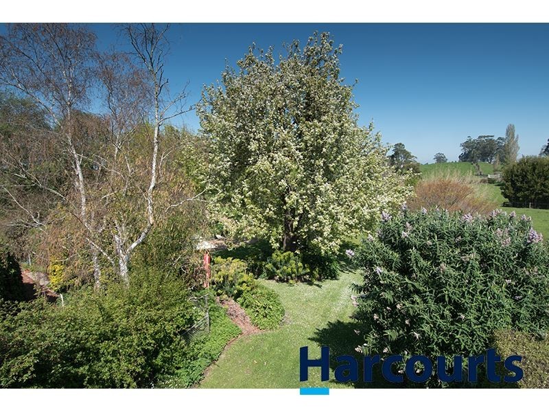243 Lillico Road, Lillico VIC 3820