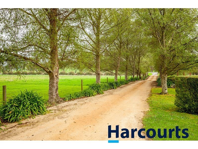 243 Lillico Road, Lillico VIC 3820