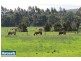 . Yarragon Shady Creek Road, Yarragon VIC 3823
