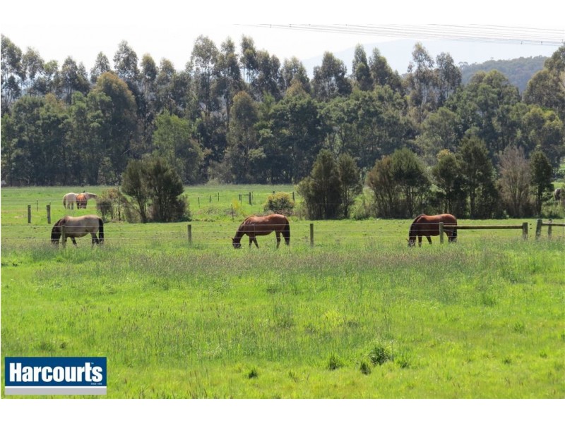 . Yarragon Shady Creek Road, Yarragon VIC 3823