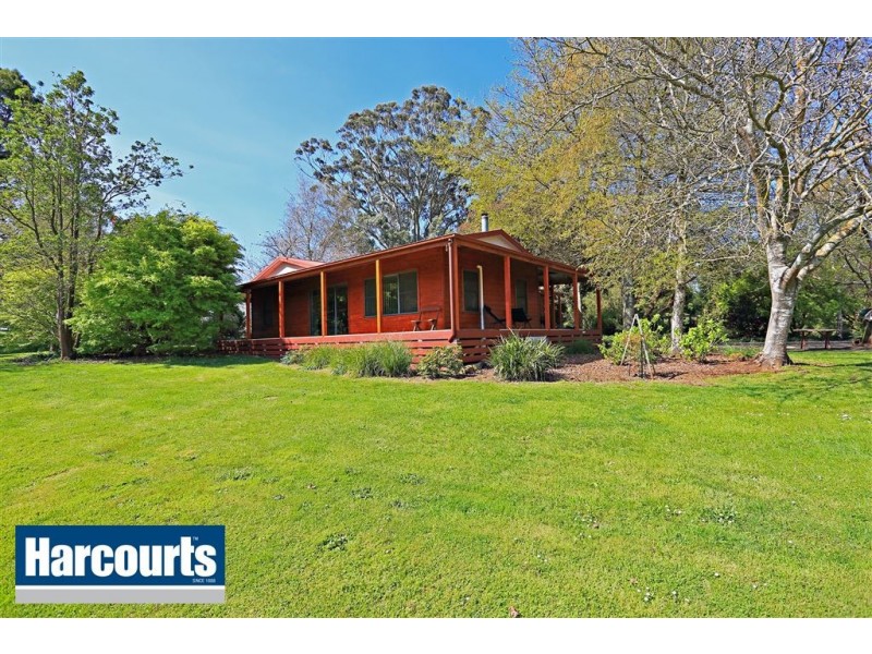 85 Paynter Road, Neerim Junction VIC 3832