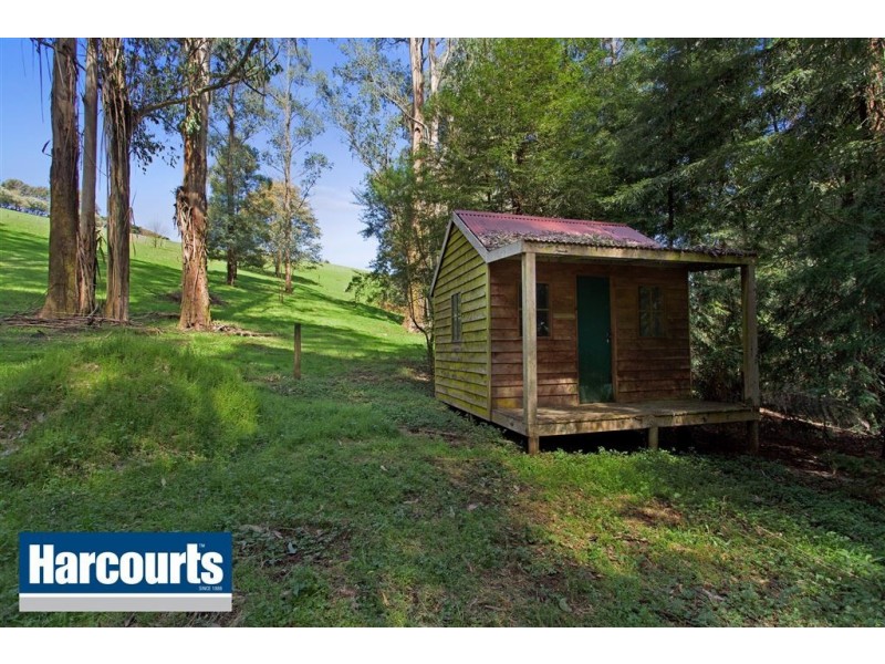 85 Paynter Road, Neerim Junction VIC 3832