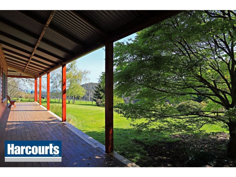 85 Paynter Road, Neerim Junction VIC 3832