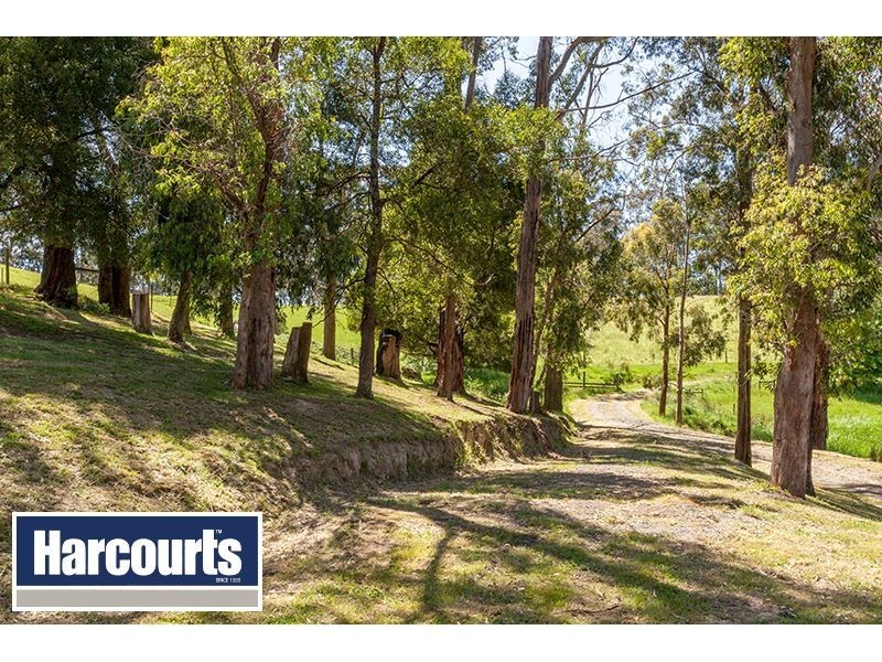 2637 Willow Grove Road, Hill End VIC 3825