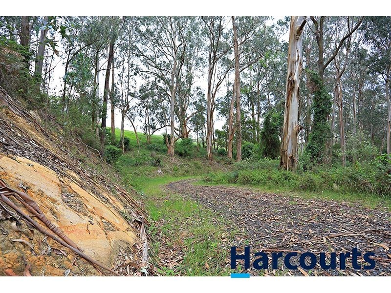 1717 Main Neerim Road, Neerim South VIC 3831