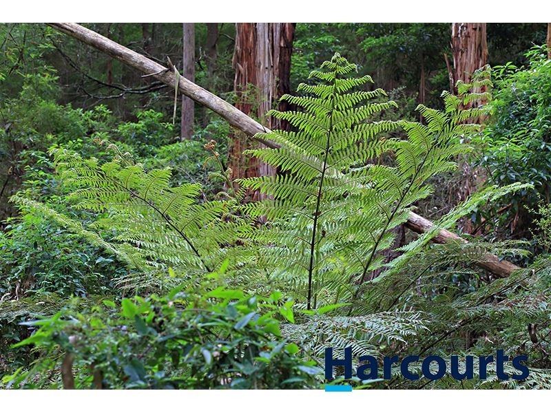 1717 Main Neerim Road, Neerim South VIC 3831