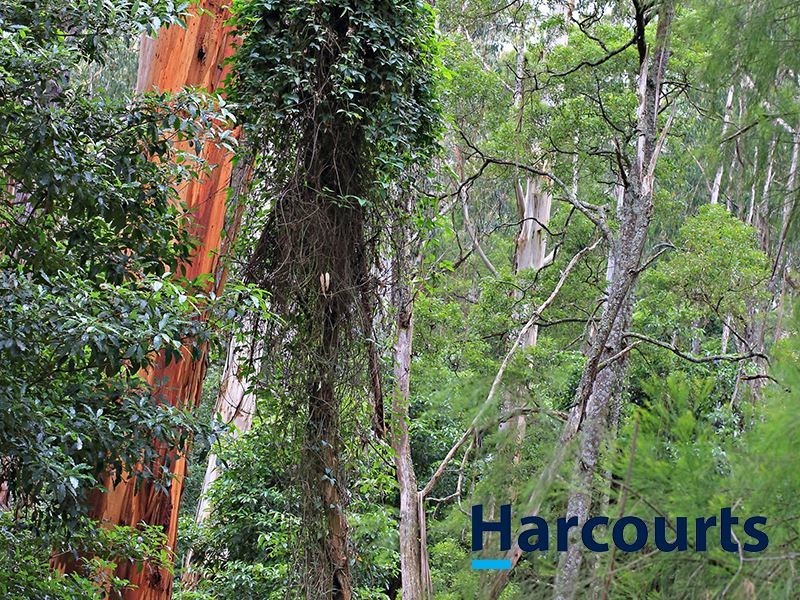 1717 Main Neerim Road, Neerim South VIC 3831