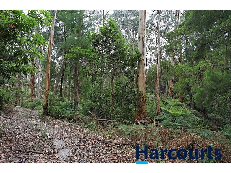 1717 Main Neerim Road, Neerim South VIC 3831