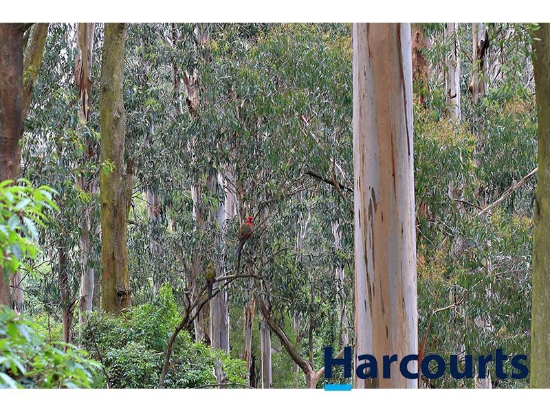 1717 Main Neerim Road, Neerim South VIC 3831