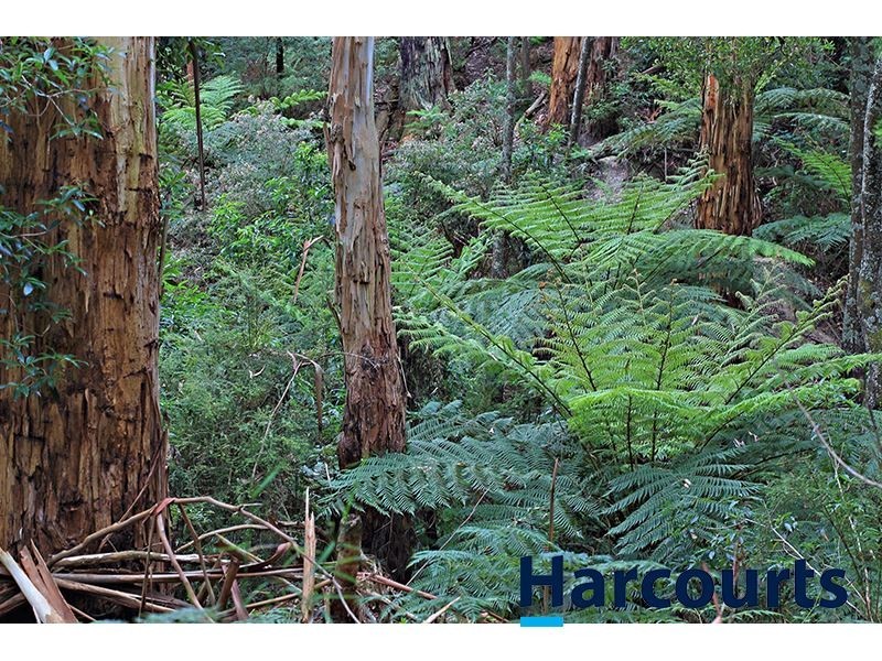 1717 Main Neerim Road, Neerim South VIC 3831