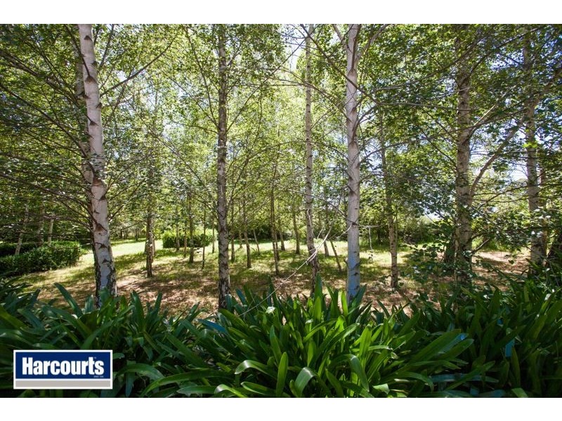 36 Hamono Road, Neerim VIC 3831