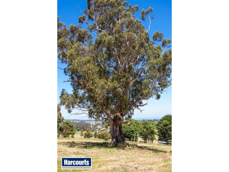 36 Hamono Road, Neerim VIC 3831