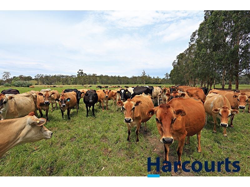 2220 Old Sale Road, Shady Creek VIC 3821