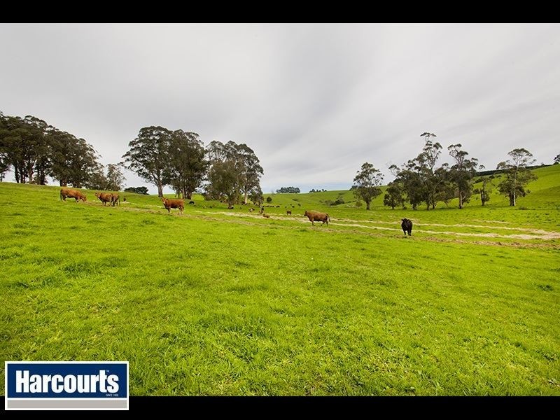 195 Sheffield Road, Neerim South VIC 3831