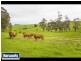 195 Sheffield Road, Neerim South VIC 3831