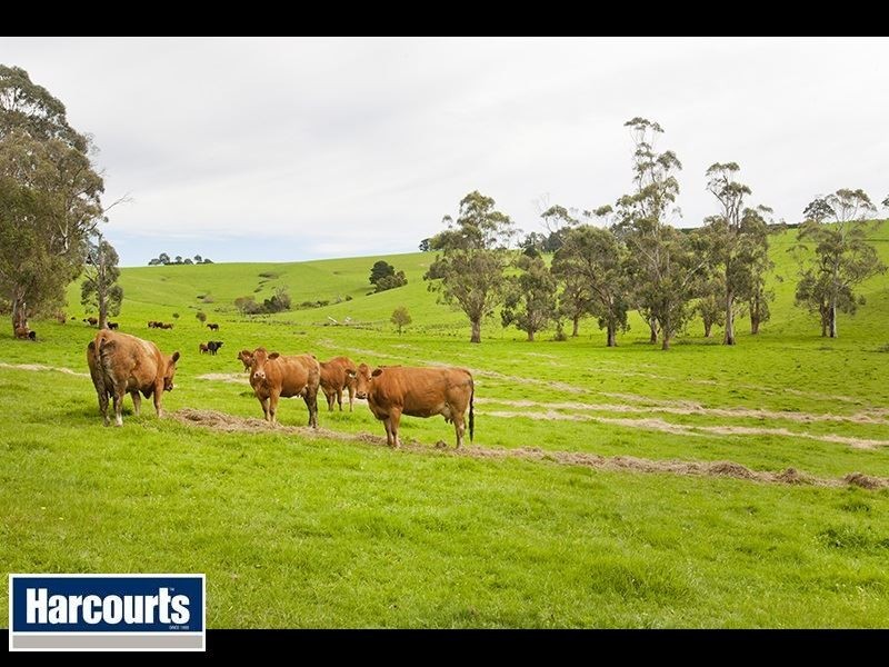 195 Sheffield Road, Neerim South VIC 3831
