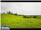 195 Sheffield Road, Neerim South VIC 3831