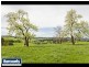 195 Sheffield Road, Neerim South VIC 3831