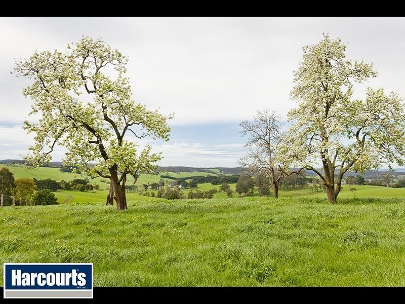 195 Sheffield Road, Neerim South VIC 3831