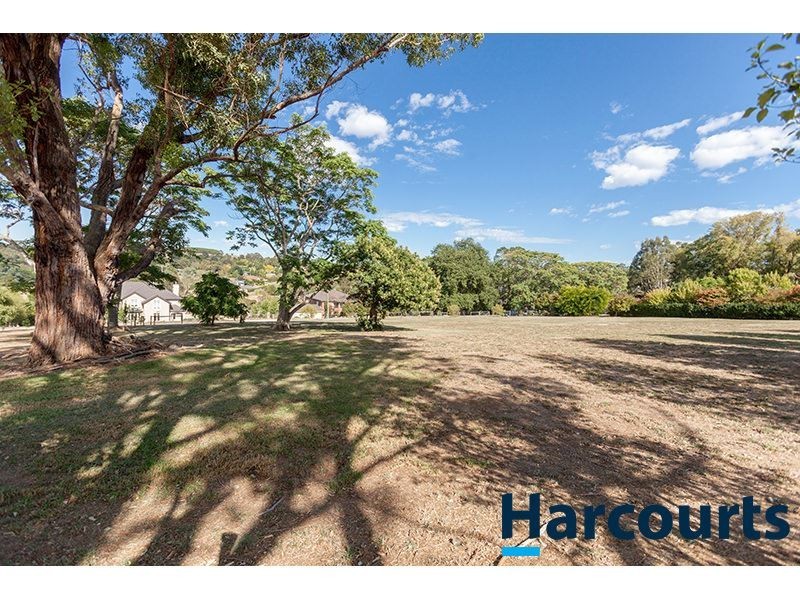 19 Fernery Boulevard, Warragul VIC 3820