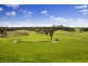 160 Thurlows Road, Shady Creek VIC 3821