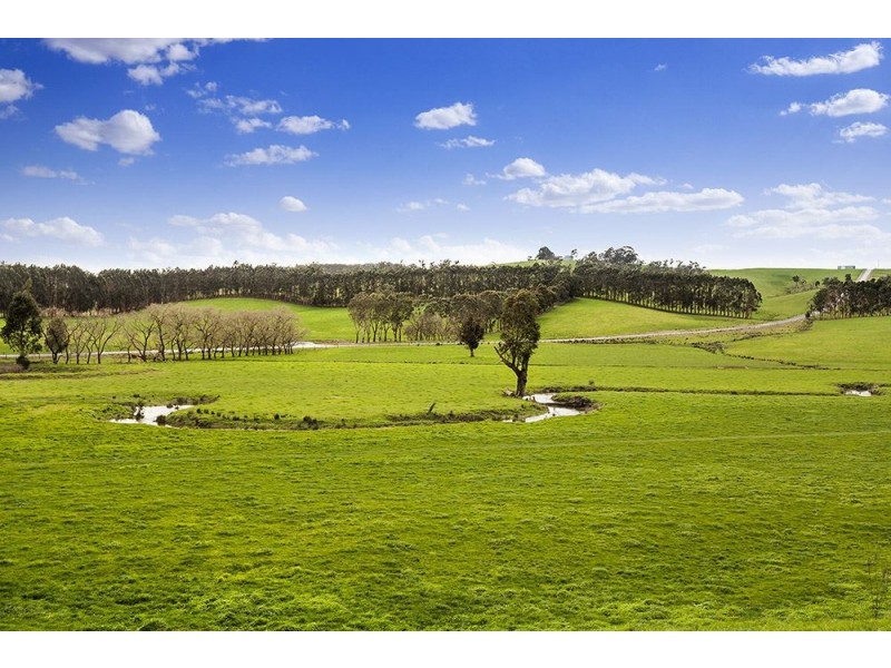 160 Thurlows Road, Shady Creek VIC 3821