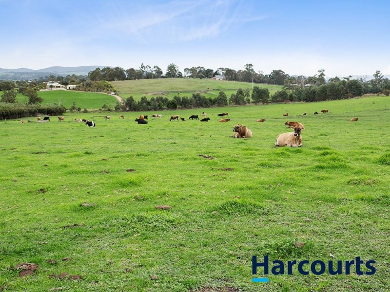 46 Forest Road, Labertouche VIC 3816