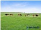 46 Forest Road, Labertouche VIC 3816