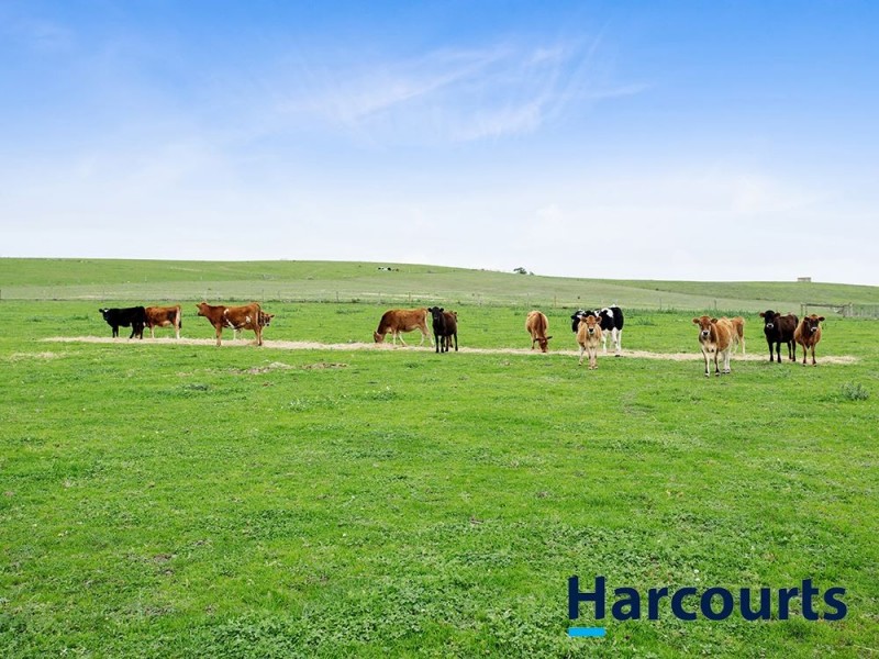 46 Forest Road, Labertouche VIC 3816