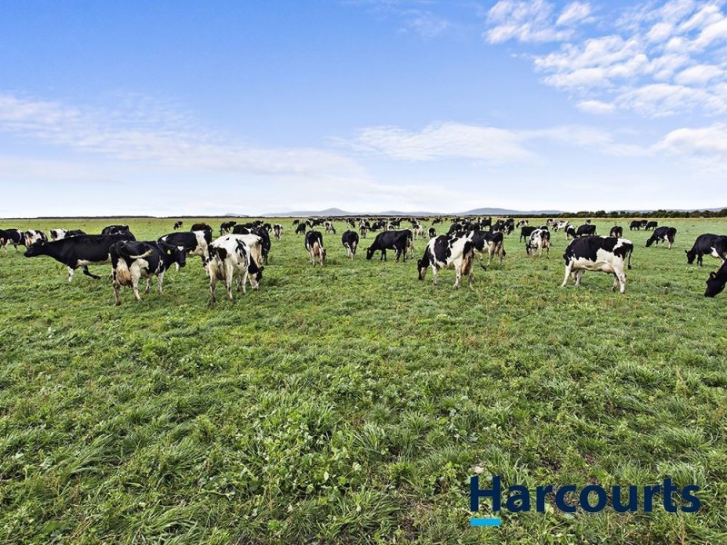 90 Foleys Road, Yanakie VIC 3960
