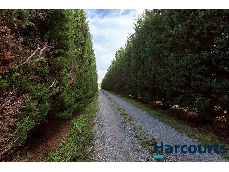 367 Copelands Road, Warragul VIC 3820