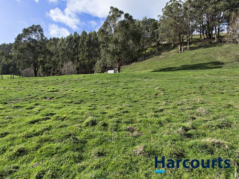 1019 Darnum Allambee Road, Cloverlea VIC 3822