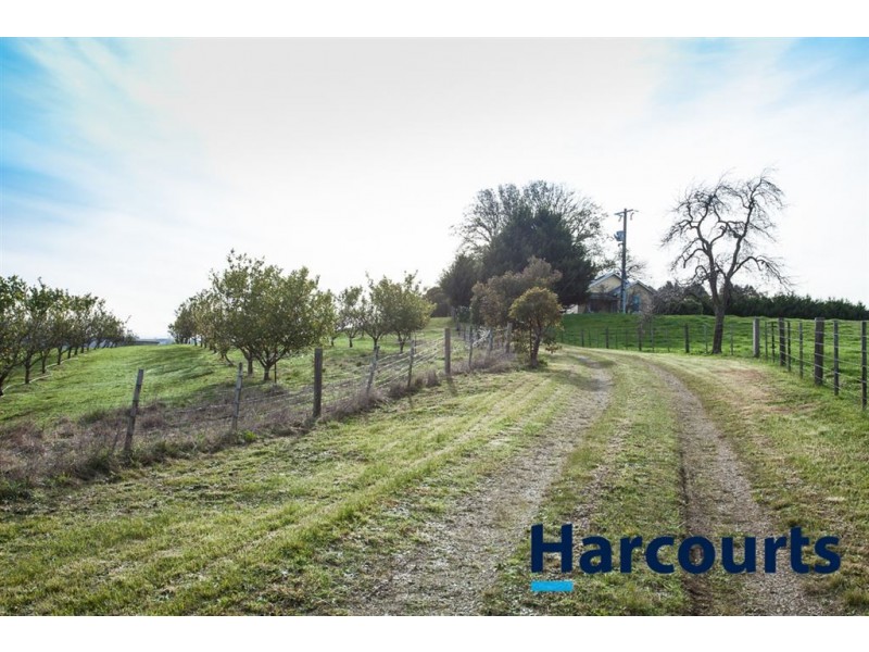 1695 Old Sale Road, Buln Buln East VIC 3821